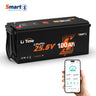 24 Volt 100Ah LiFePO4 RV, Marine Battery with Bluetooth