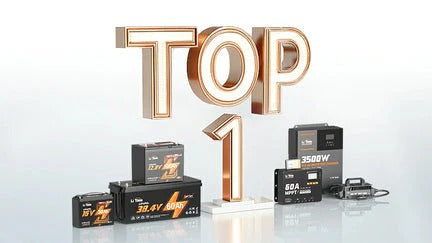 TOP 1 Marque LiFePO4