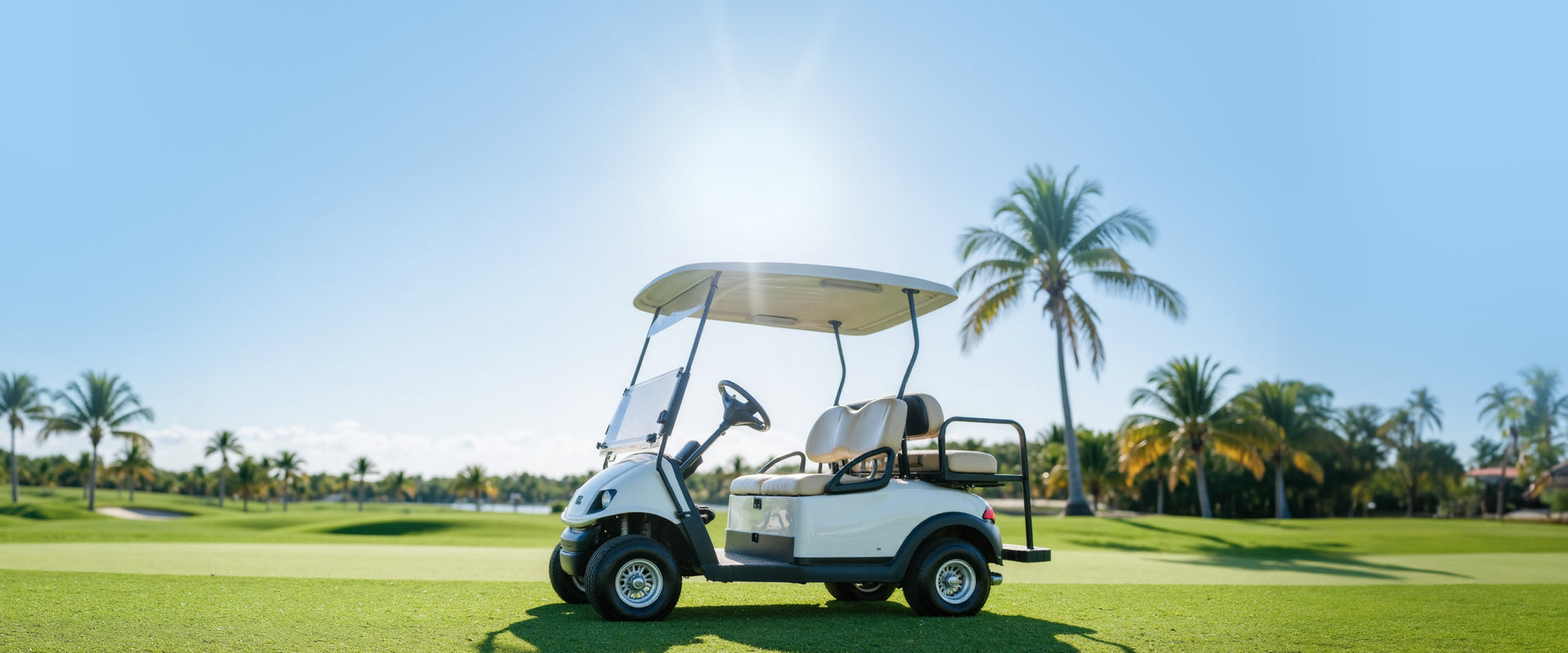 Batteries pour voiturettes de golf