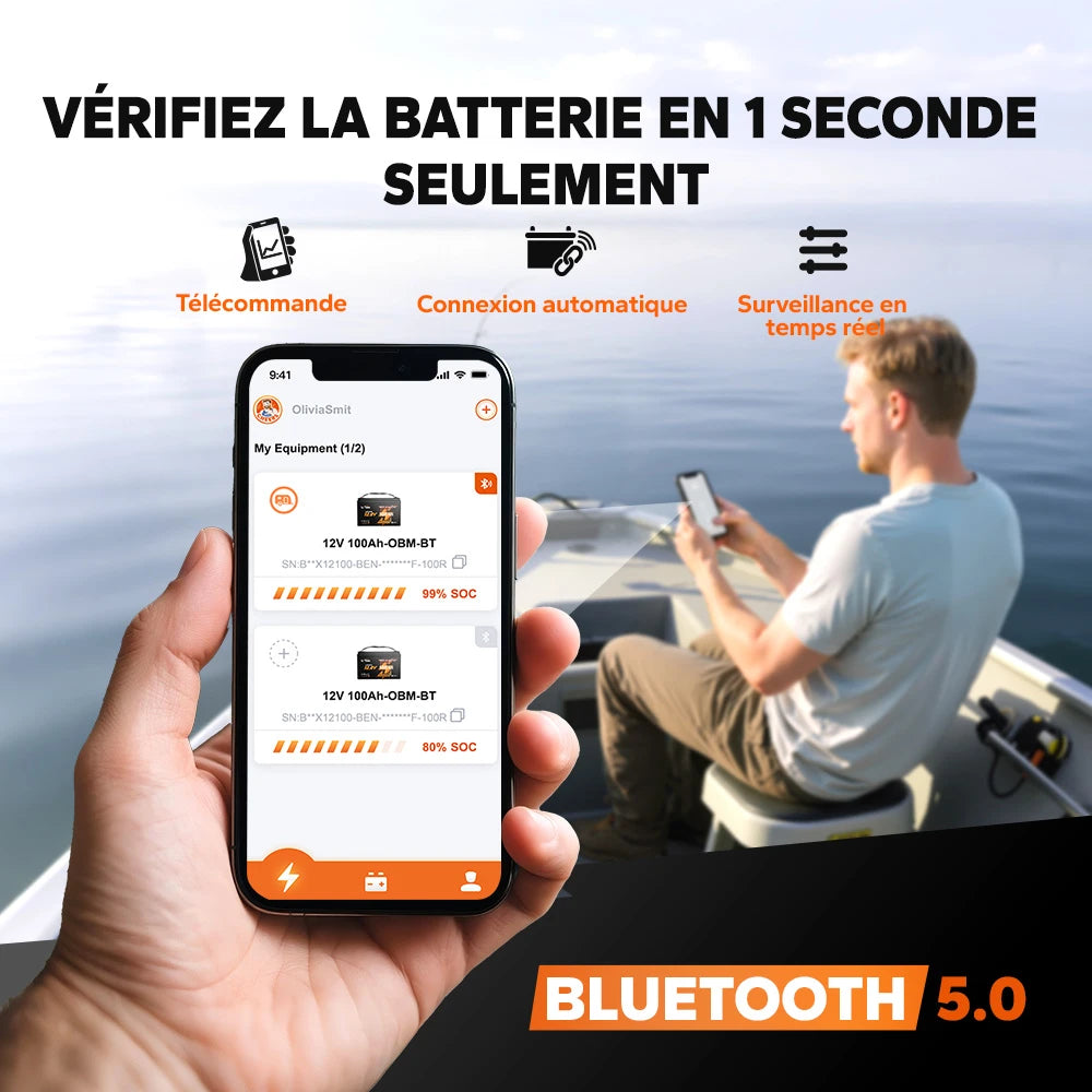 LiTime 12V 100Ah OBM Smart LiFePO4 Batterie Bluetooth