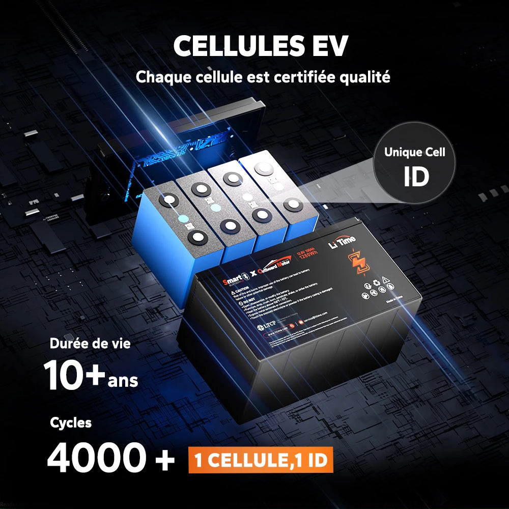 LiTime Batterie LiFePO4 12V 100Ah OBM Smart Cellules De Qualité EV