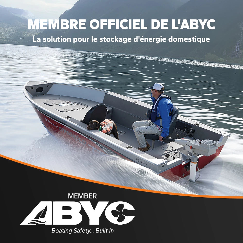 LiTime 12V 100Ah OBM Smart LiFePO4 Batterie Membre ABYC