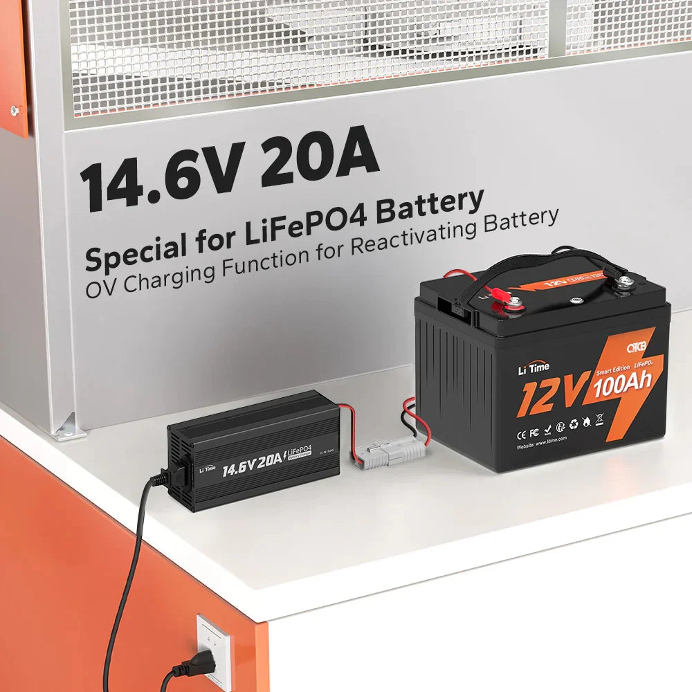LiTime Caricabatterie al Litio LiFePO4 da 12V (14.6V) 20A - LiTimeFR/IT/ES