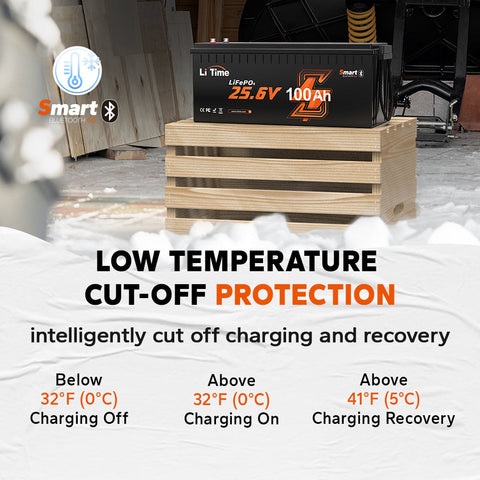 24v deep cycle lithium battery with Low-temperature protection