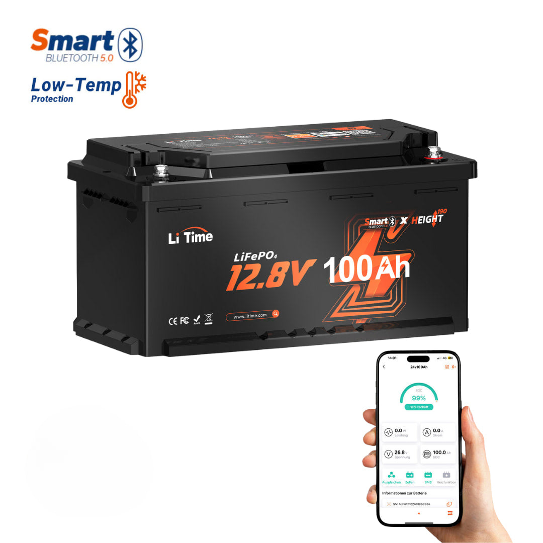 LiTime 12V 100Ah Batteria al Litio con Bluetooth, Bassa Temperatura, Camper