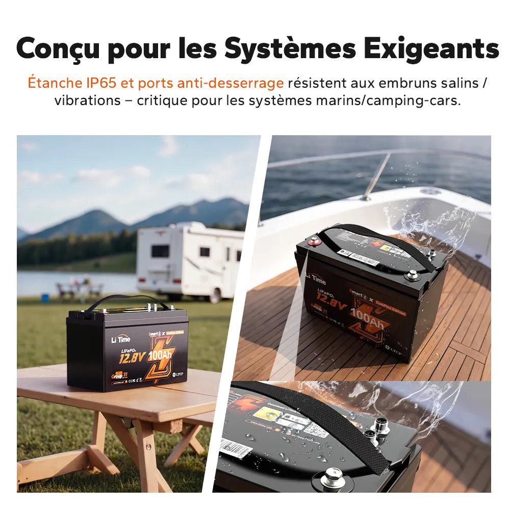 Litime Batterie Lifepo4 12V 100A Commus Protection IP65