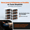 Litime Batterie Lifepo4 12V 100A Commus Jusqu À 16 Parallèles