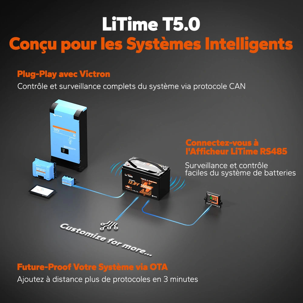 Litime Batterie LiFePO4 12V 100A Smart Comflex OTA 
