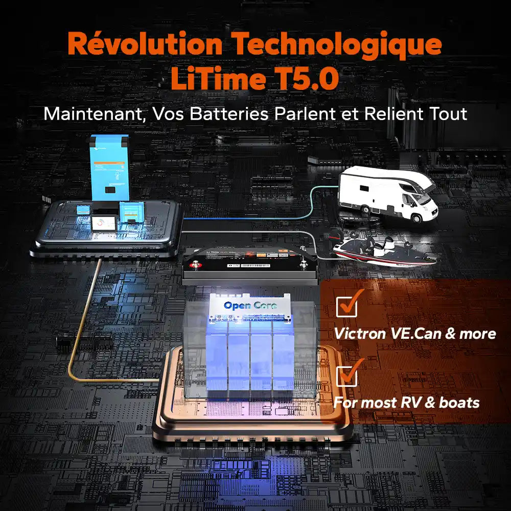 Litime Batterie LiFePO4 12V 100A Commu Révolution Technologie