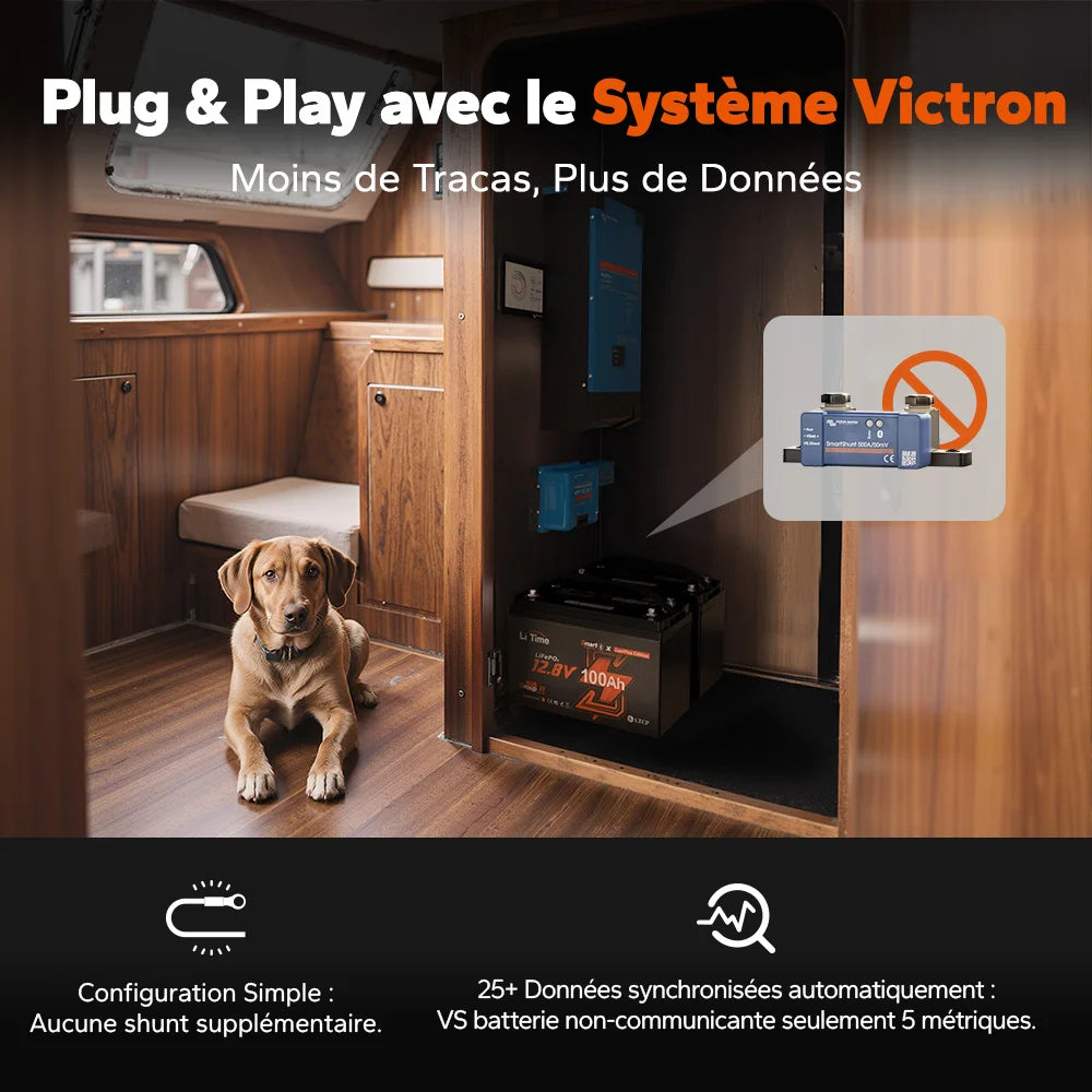 Litime Batterie LiFePO4 12V 100A Smart Comflex Système Victron