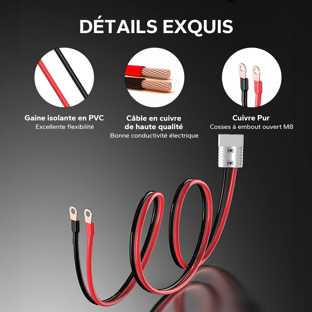 Détails des câbles en cuivre pur et gaine isolante en PVC du chargeur 24V 20A