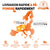 Livraison rapide en Europe pour batterie LiTime 24V 100Ah : expédition locale, garantie 5 ans et support client réactif.